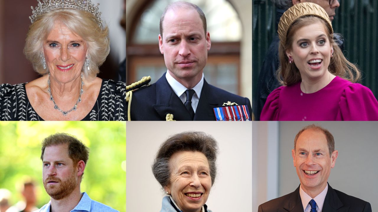 The replacements Prince Harry and Prince Andrew among King