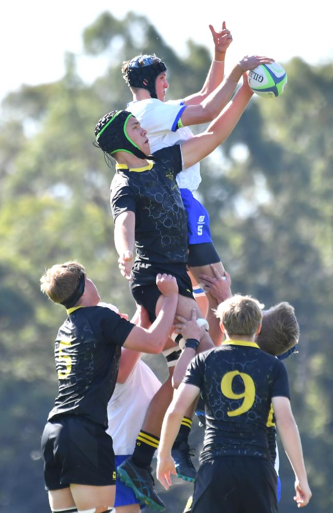 Ben Davis stealing a lineout. Picture, John Gass