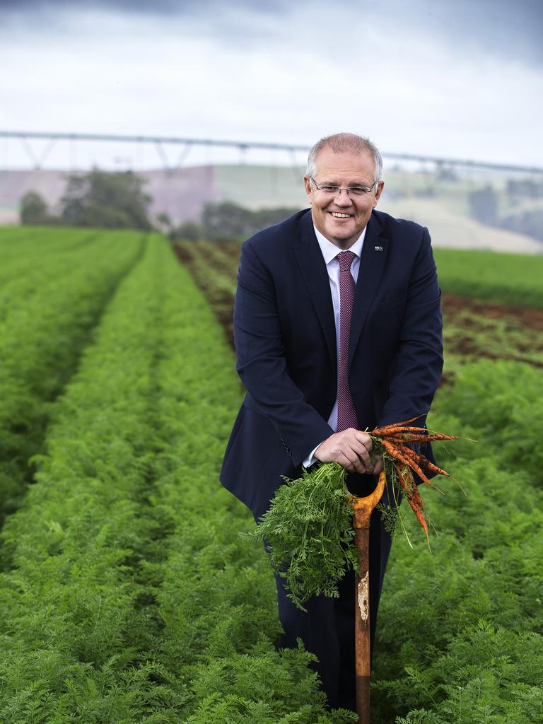 Prime Minister Scott Morrison in a field of carrots in Braddon at Forth, Tasmania. PICTURE CHRIS KIDD