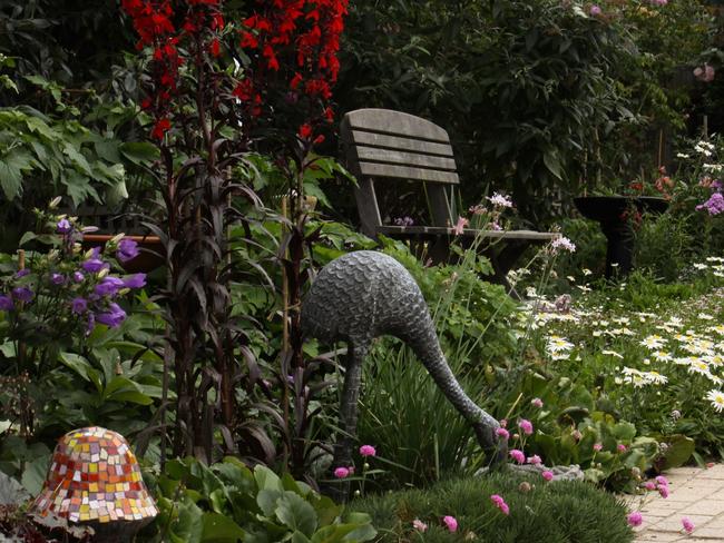 Cottage Garden, Canberra For WAP Open Garden 21 Feb Image supplied