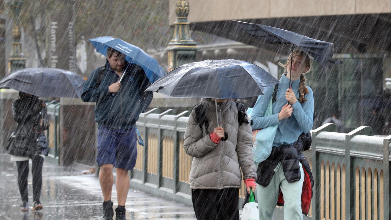 Plastic bag ban: Wet umbrellas in public servants’ offices creating ...