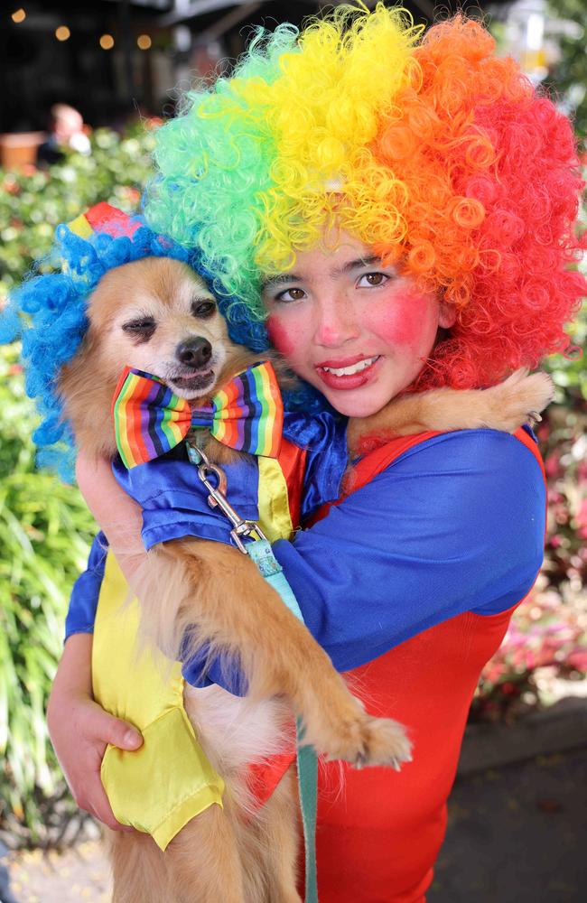 Jacinta Gurney and Buddy at the Ray White Surfers Paradise Next Top Dogel competition on Tedder Avenue Main Beach. Picture, Portia Large.