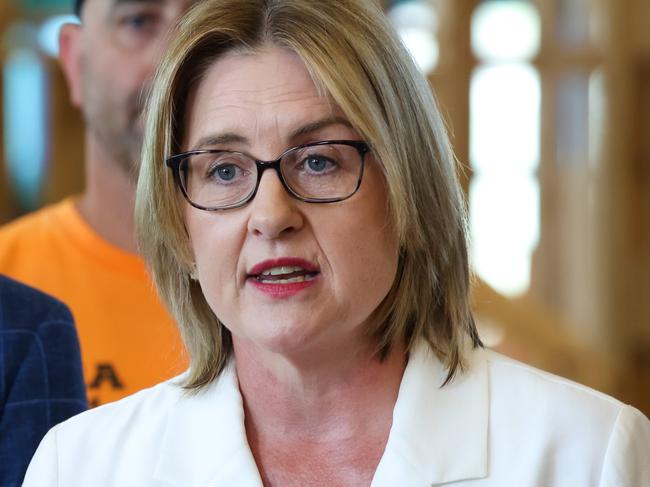 MELBOURNE, AUSTRALIA.NewsWire Photos. JANUARY 20, 2025. Premier Jacinta Allan addresses the media at the Werribee Campus of Victoria University. Picture: NewsWire/Ian Currie