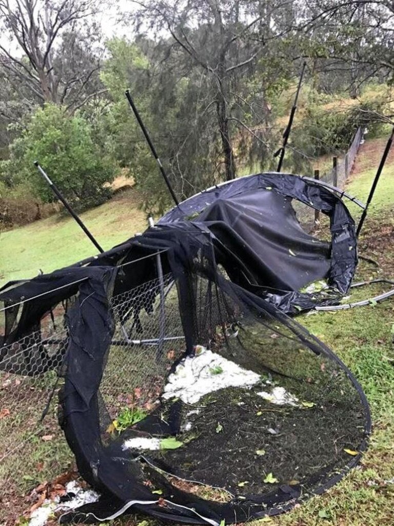 The twisted remains of a Gympie family's trampoline.