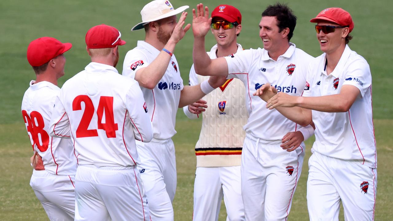 South Australian players celebrate a wicket in the Sheffield Shield match against Queensland. Picture: James Elsby/Getty Images