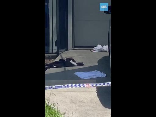 Gold Coast shooting investigation