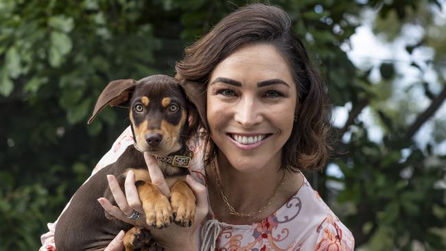 Giaan Rooney has just adopted a kelpie x dachshund pup called Roy. Picture: Mark Cranitch.