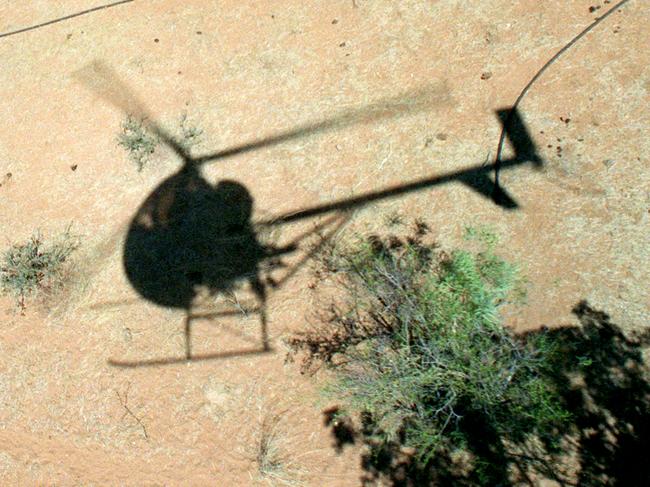 aerial helicopter mustering PicC/Shaw 35/L/10983  19 aug 1994  shadow animals cattle  outback aviation helicopters aerials silhouette