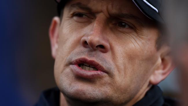Trainer Chris Waller looks set for a big day at Moonee Valley on Saturday.