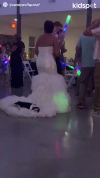 Dogs stealing the show at weddings!