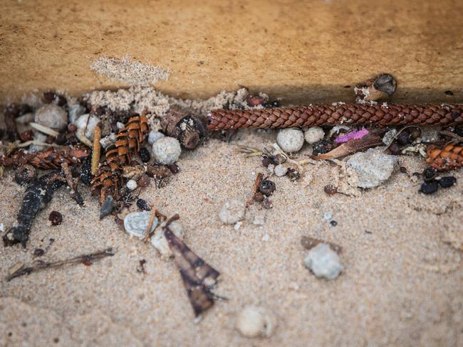 Beachgoers are urged to report any more sightings of the grey/white balls. Picture: Julian Andrews