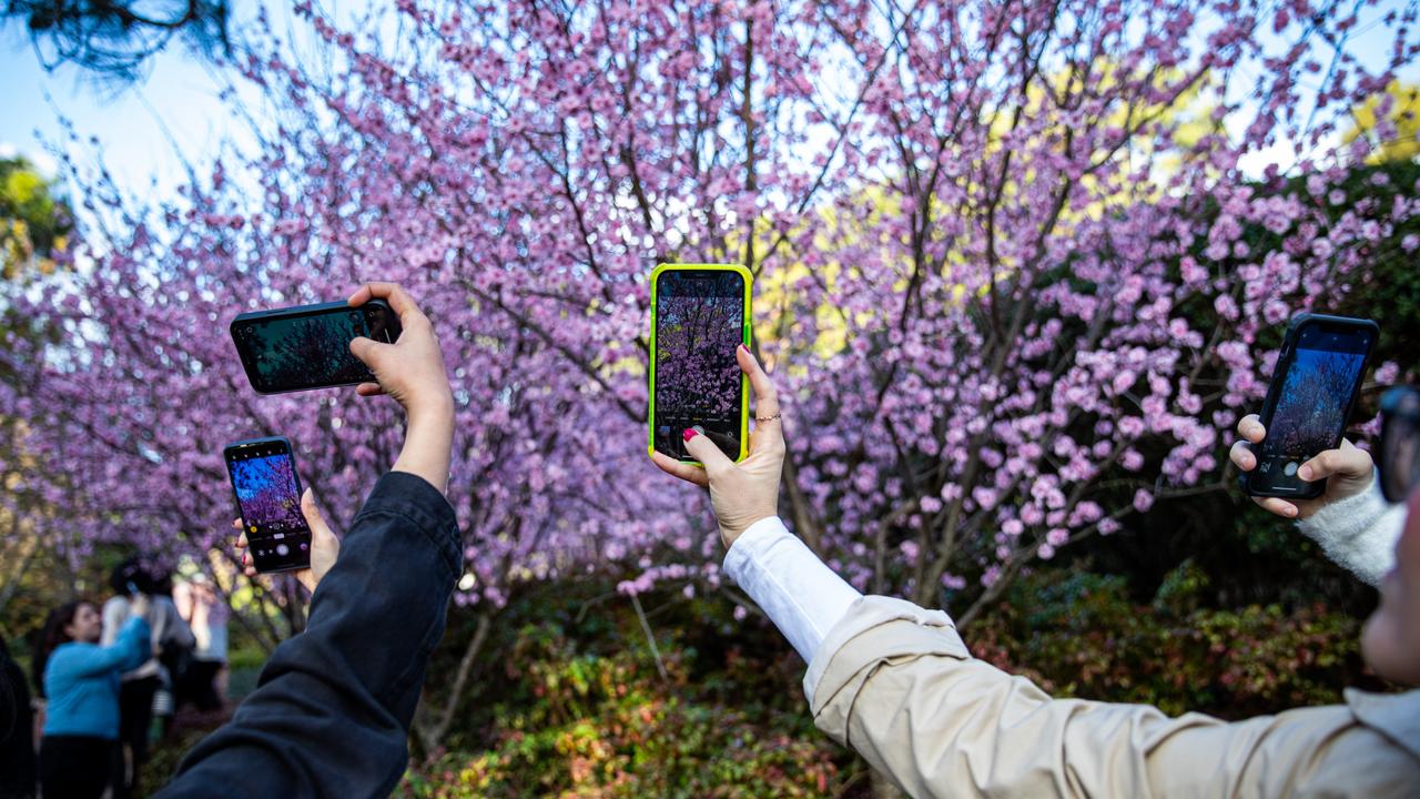 Visitors captured the Pink-washed landscape. Picture: Christian Gilles