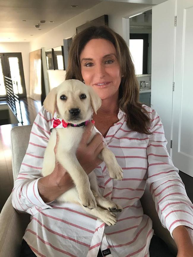 Adding a fur baby to her list of children... 