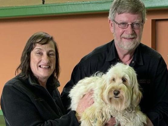 Elizabeth and Paul Bartlett, owners of Epping Forest dog breeders Tasmanian Labradoodles Pty Ltd. Both Mr and Mrs Bartlett and their company have each been charged with 70 counts of breeding of dogs under the Animal Welfare (Dogs) Regulations 2016. Picture: Instagram