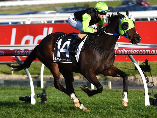 Track conditions, distance and draw all suit Great Esteem at Caulfield today.