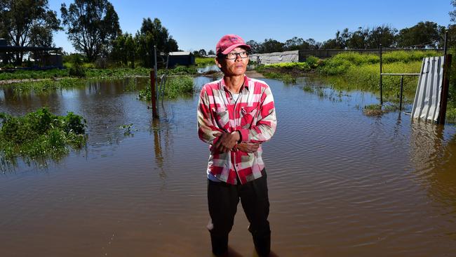 Virginia vegetable farmer Truc Tu on his flooded property in 2016. Picture Mark Brake