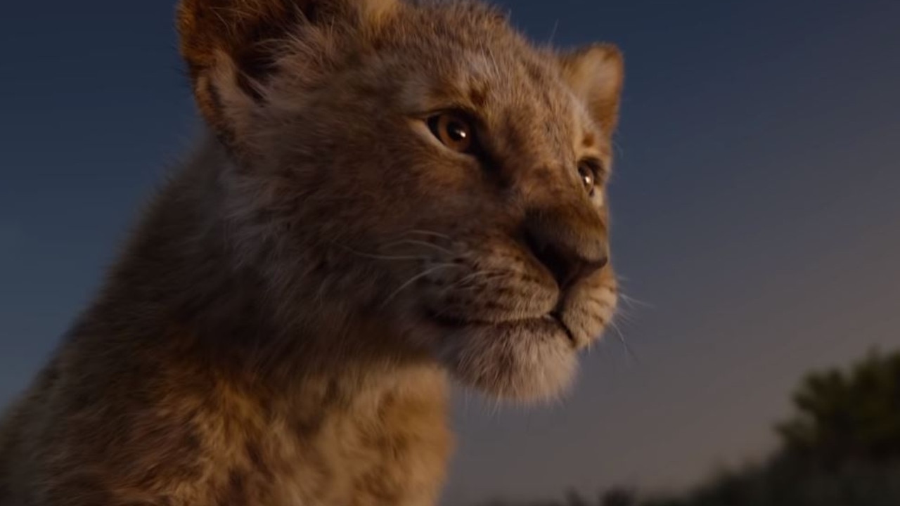 Lion King Disney’s liveaction remake trailer released The Courier Mail