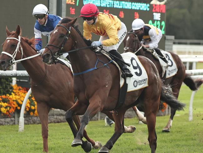 SYDNEY, AUSTRALIA - MAY 10: Winona Costin riding  Les Vampires win Race 7 Guardian Safety Solutions Gosford Gold Cup during Metropolitan Racing at Gosford Race Club on May 10, 2025 in Sydney, Australia. (Photo by Jeremy Ng/Getty Images)