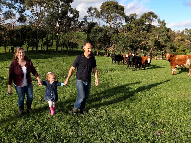 02/06/2016 Phil and Leanne Richards, and daughter Lulu 4. with their organic beef cattle at their prpperty in Jowambunna in South Gippsland. Their beef is being sold direct to consumers via crowd funding and the Crowd Carnivores interface. David Geraghty / The Australian