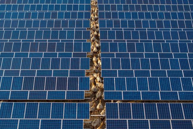 Renewable and nuclear energy are helping China lower emissions despite rising power demand