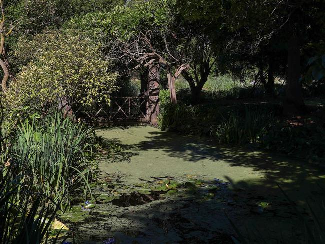 A temporary fence is going around the pond. Picture: Ian Currie