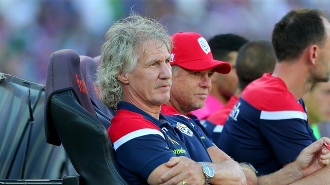 Adelaide United’s Gertjan Verbeek insists he’s not under pressure. Picture: James Worsfold/Getty Images.