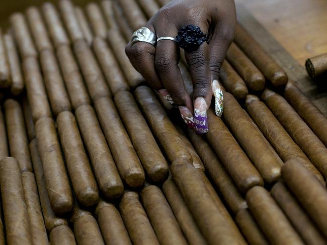 A worker selecting cigars at the H. Upmann cigar factory in Havana, Cuba. Picture: AP