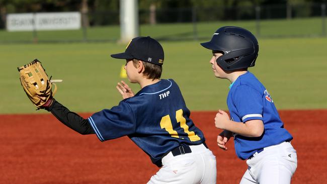 Junior baseball spread - Deakin Blues v Guild-Lara.  Picture: Mike Dugdale
