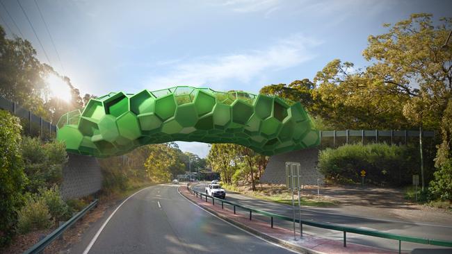 An artist impression of proposed Burleigh koala bridge that might be built as part of Stage 4 of the light rail project.