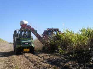 A series of sugar marketing information sessions is being held this week. Picture: TAHLIA STEHBENS