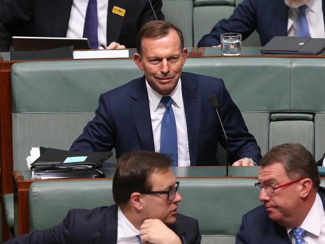 Backbench MP Tony Abbott has doubled down on his warnings that same-sex marriage will have broad consequences. Picture: Kym Smith