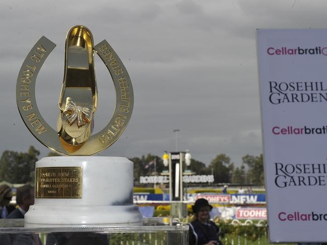 ATC members have begun casting their votes on the sale of Rosehill, home of the Golden Slipper. Picture: Bradkley Photos