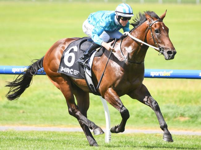 Raikoke ridden by Damian Lane wins the 2024 Stud and Stable Staff Awards Plate  at Ladbrokes Park Lakeside Racecourse on January 31, 2024 in Springvale, Australia. (Photo by Pat Scala/Racing Photos via Getty Images)