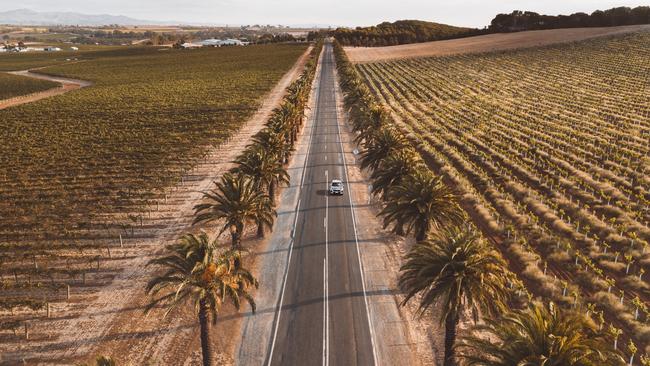 Driving through palms and vineyards in the Barossa Valley. The wine industry needs support to recover from China’s trade shutdown.