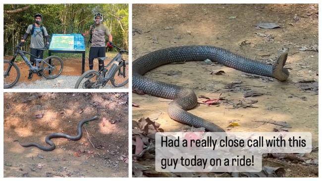 Joel Parkinson took footage of a huge brown snake while on a ride on the Gold Coast.