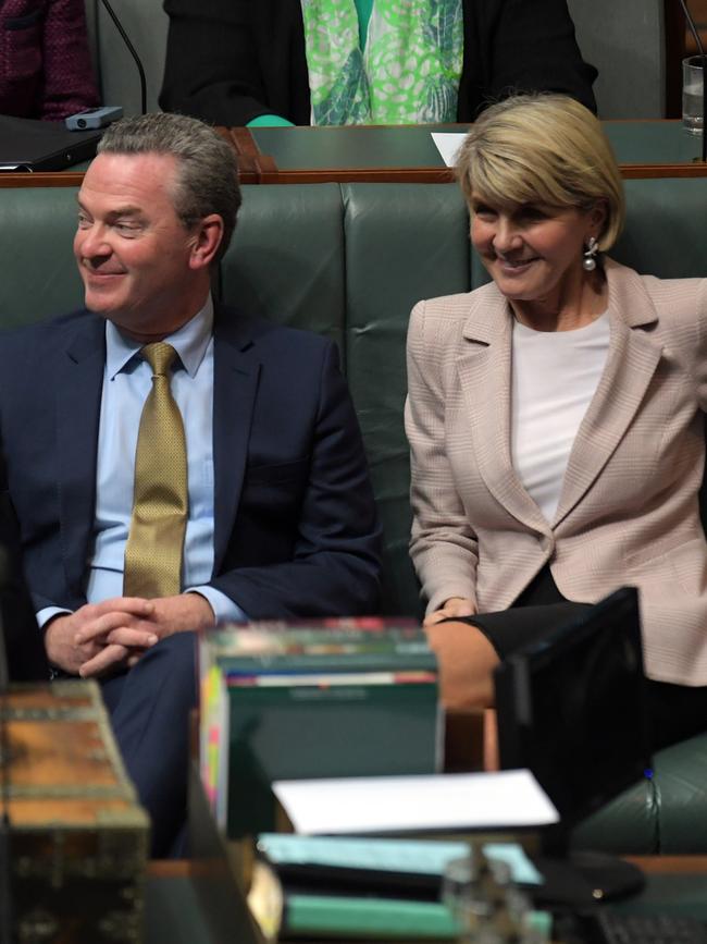 Christopher Pyne and Julie Bishop. Picture: AAP