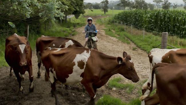 Will Russell at his Bega Valley farm where big rain has fallen in the past seven days.