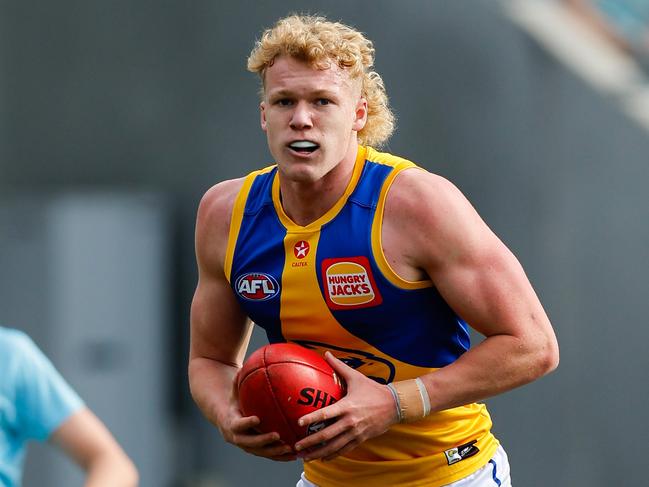 HOBART, AUSTRALIA - AUG 10: Reuben Ginbey of the Eagles in action during the 2024 AFL Round 22 match between the North Melbourne Kangaroos and the West Coast Eagles at Blundstone Arena on August 10, 2024 in Hobart, Australia. (Photo by Dylan Burns/AFL Photos via Getty Images)