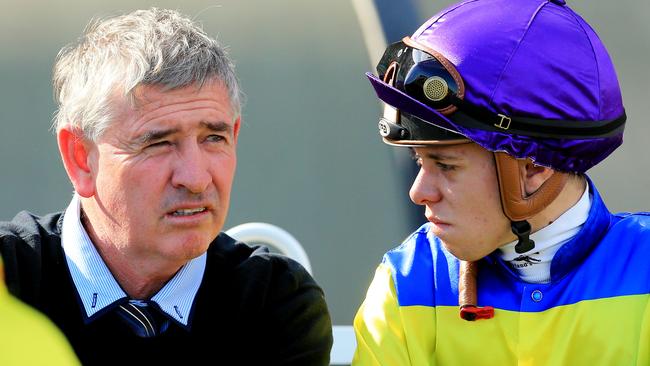 Trainer Paul Murray believes A Snip Of Cindy’s is his stable’s best at Nowra. Picture: Mark Evans