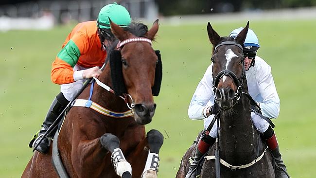 Grand Annual winner &#39;Chaparro&#39; ridden by Richard Cully (right) battles with &#39;Via Savoia&#39; 