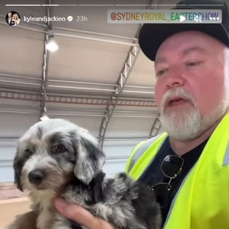 Kyle Sandilands has got a new puppy called Wolf. Picture: Instagram