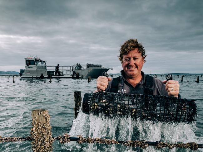 Coffin Bay workers stood down as oyster outbreak rocks farms