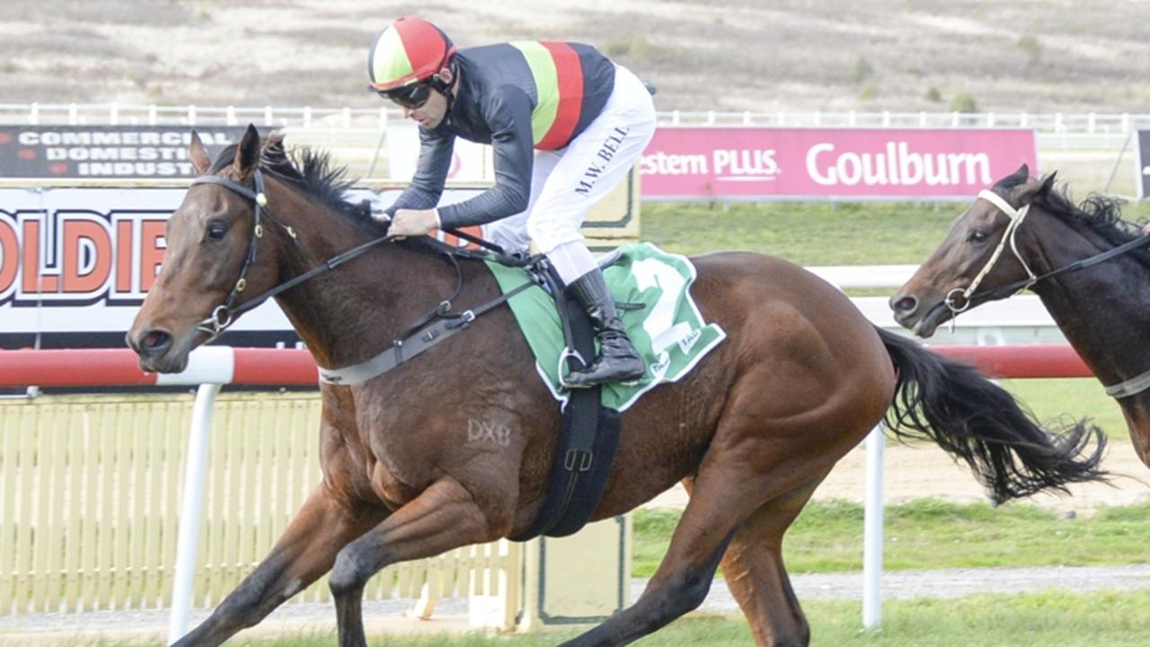 Goulburn Preview: Pat Murphy Confident Buff Mobile Is Ready For The ...