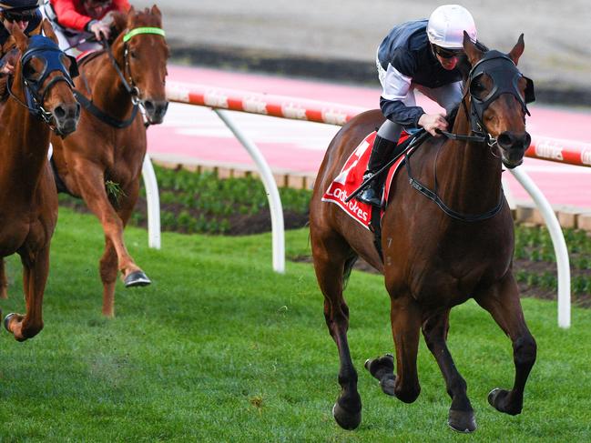 Homesman charges to victory in the Feehan Stakes. Picture: AAP