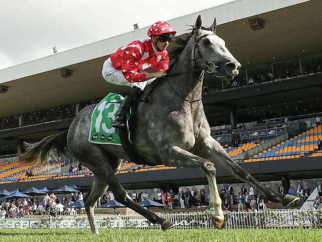 SYDNEY, AUSTRALIA - APRIL 27: Dylan Gibbons riding Martini Mumma wins Race 4 TAB Highway Handicap during Sydney Racing at Rosehill Gardens on April 27, 2024 in Sydney, Australia. (Photo by Jeremy Ng/Getty Images)