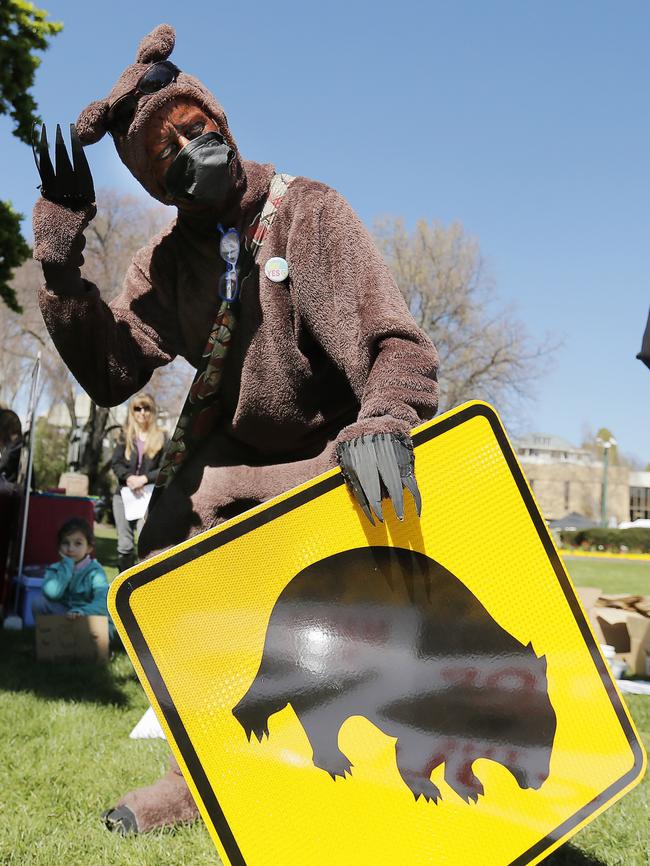 ‘The Wombat’ joins the protest.