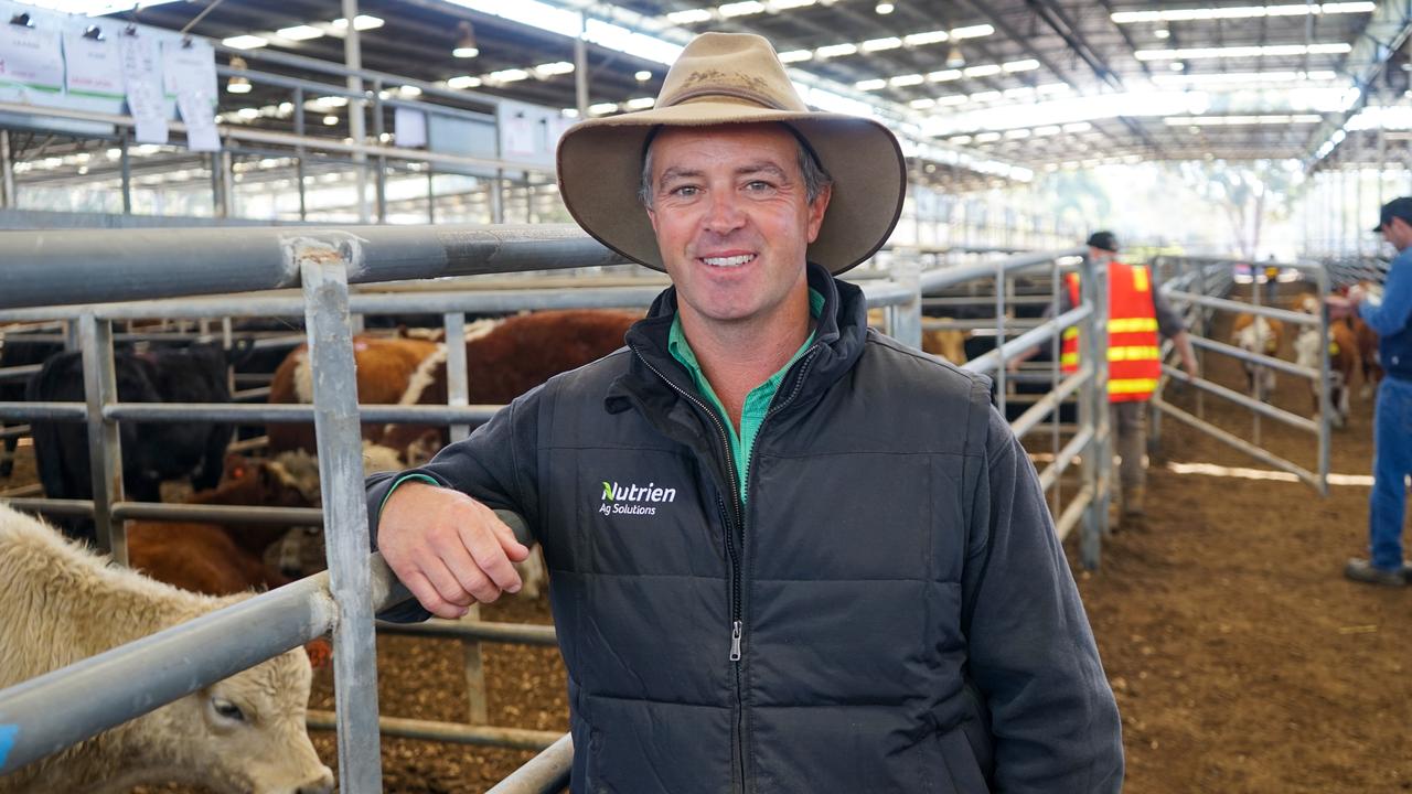 ‘We need an old-fashioned wet winter’: Interstate buyers dominate at Yea
