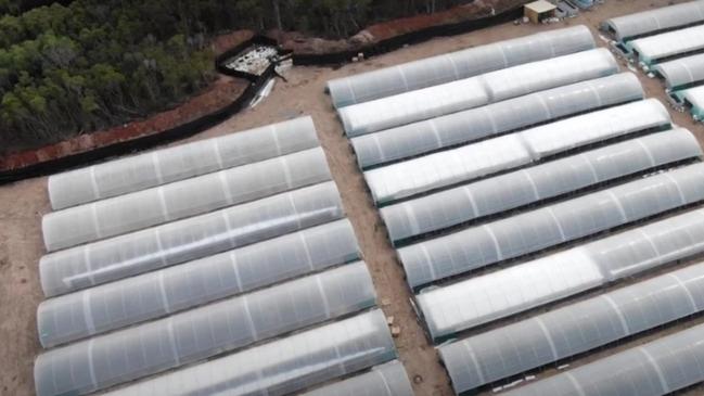 The workers constructed 51 greenhouses with a length of 80m, equipped with retractable plastic walls and hydration systems.