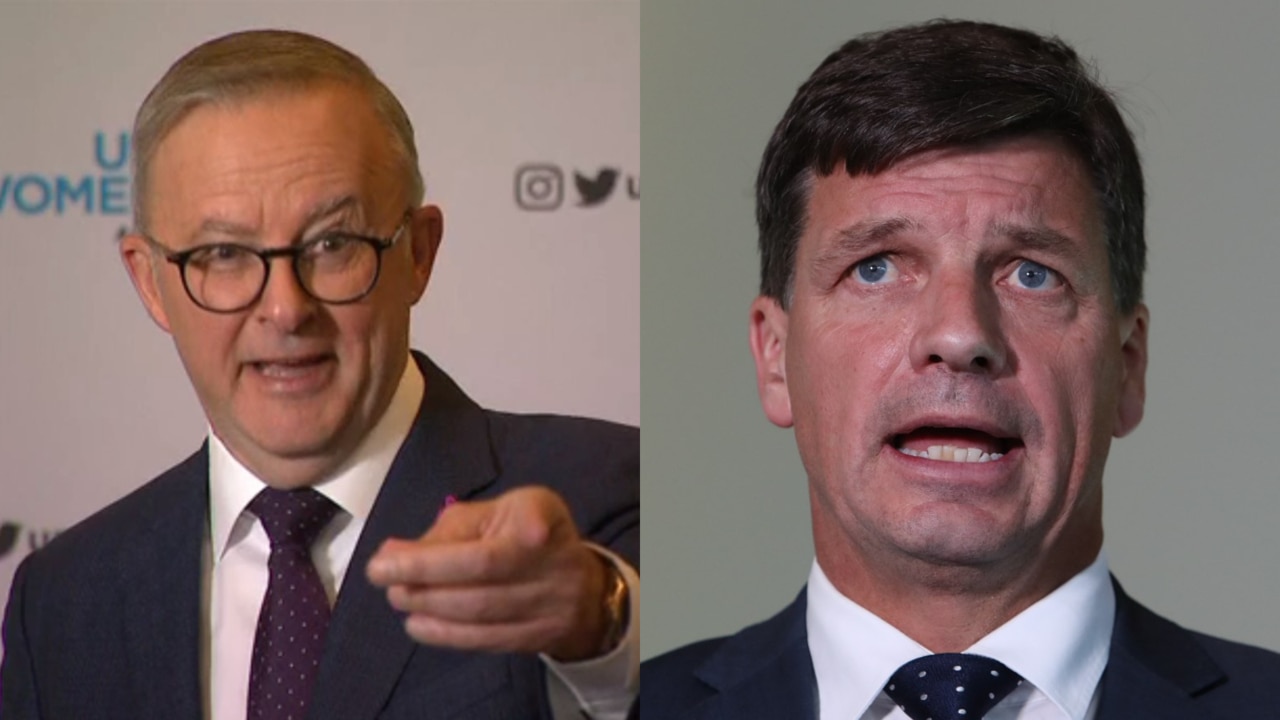 ‘Lightweight but dense’: Anthony Albanese slams Angus Taylor
