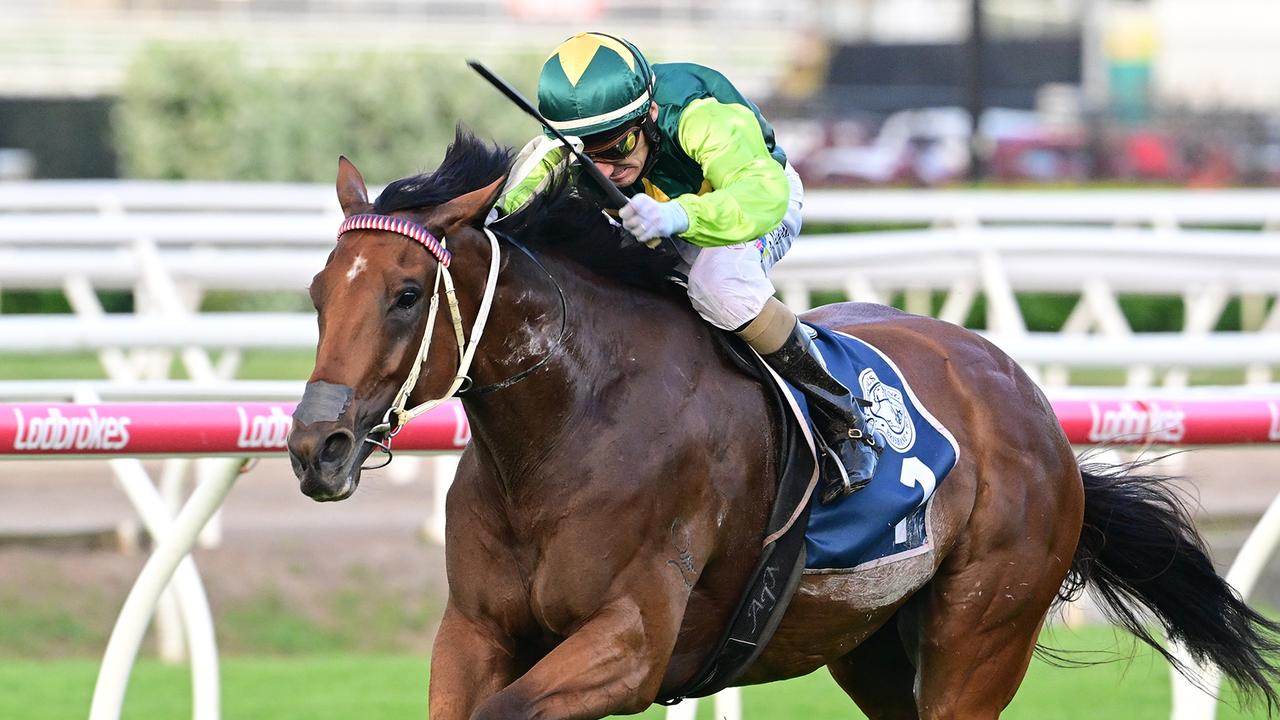 Yellow Brick will head back to Sydney after a dominant win at Eagle Farm last start. Picture: Grant Peters/Trackside Photography